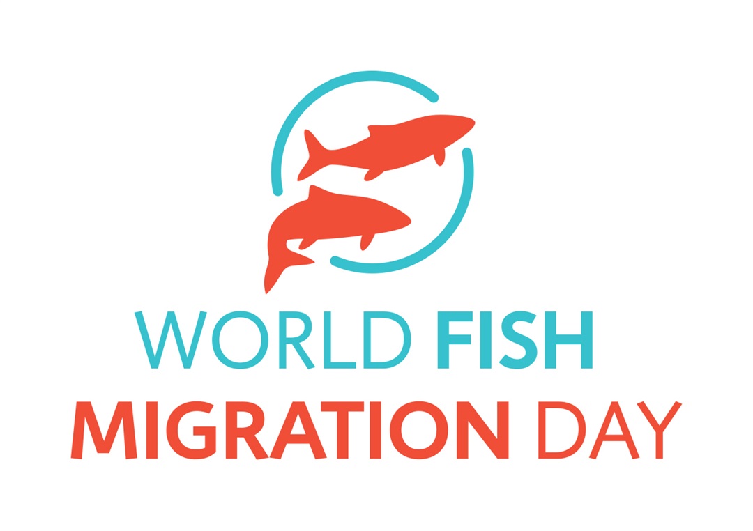 World Fish Migration Day Event Gannawarra Shire Council