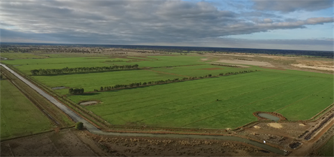 aerial crop view (3).png