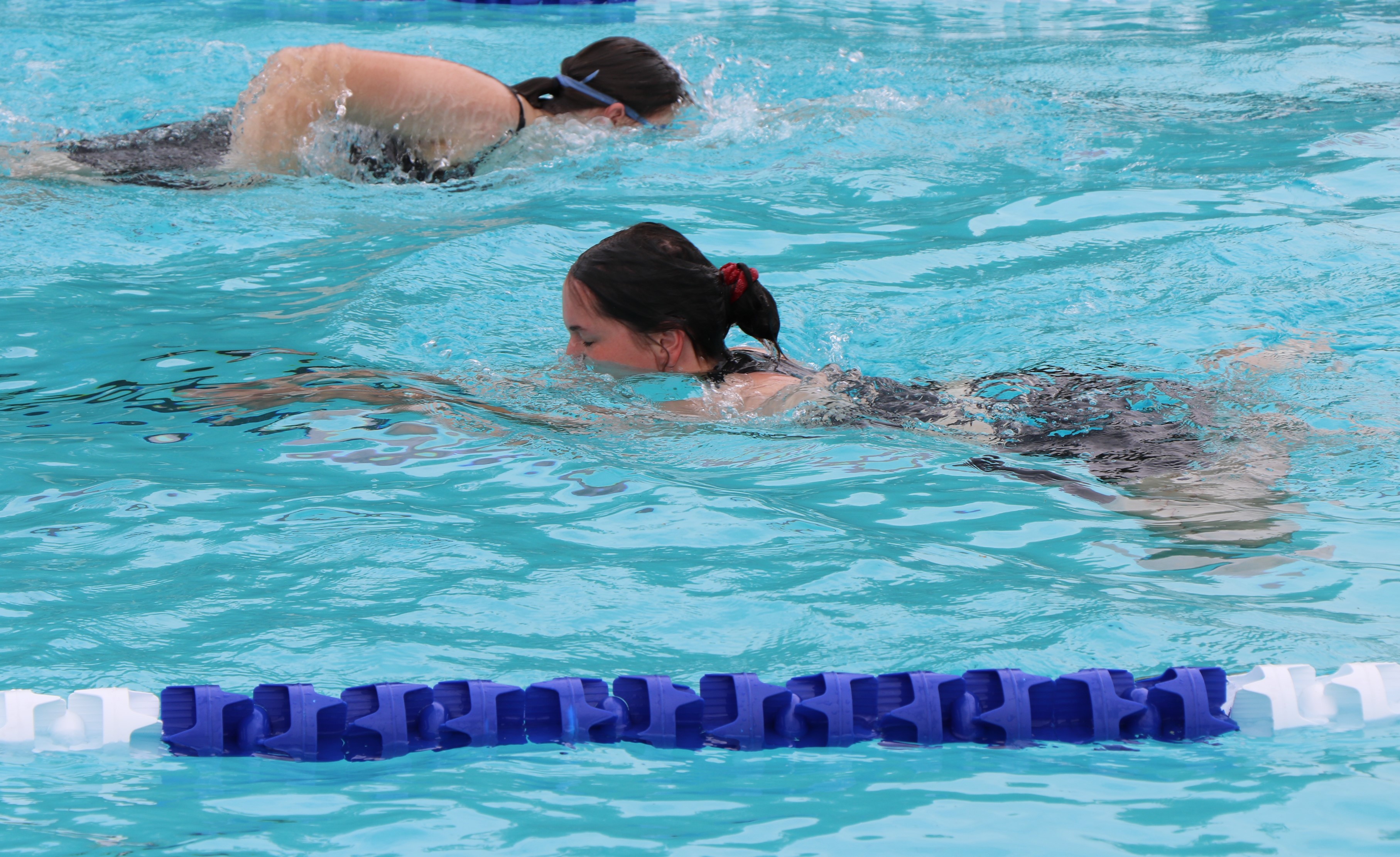 Kerang swimming 3.jpg