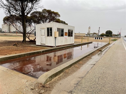 Kerang weighbridge.jpg