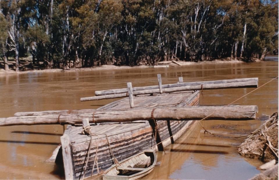 Alison at Evans Bros Sawmill.jpg